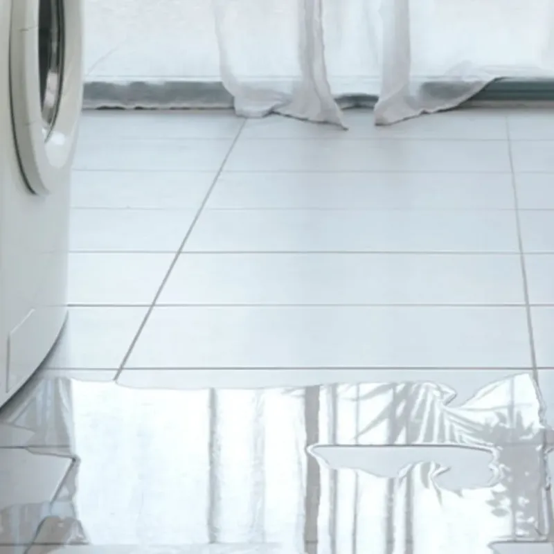 Appliance Leak Cleanup in Winter Springs, FL